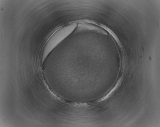 X0000087410809200705181356