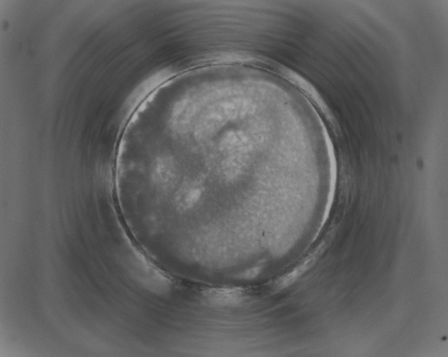 X0000087410810200705181356