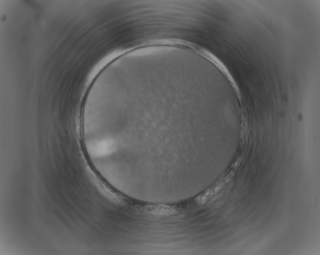 X0000087410811200705181356