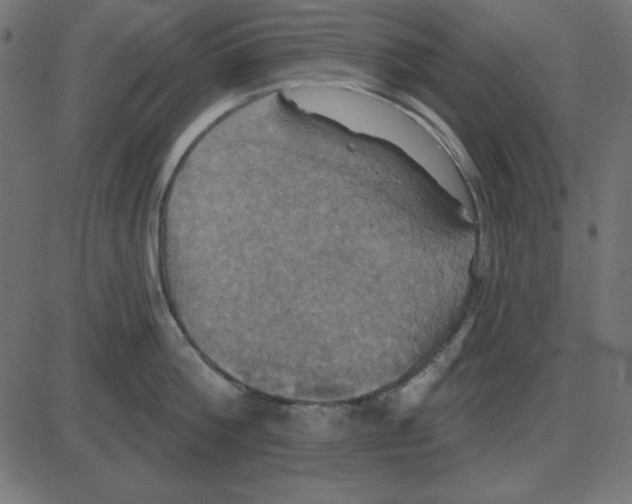 X0000087410812200705181356