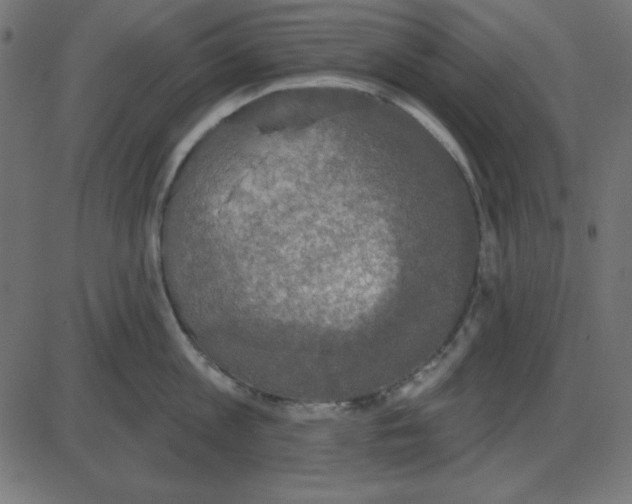 X0000087410813200705181356