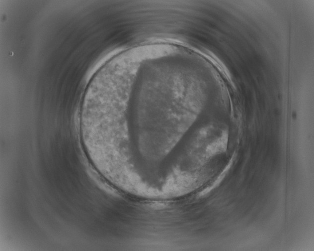 X0000087410814200705181356