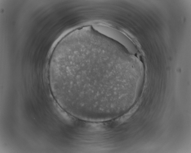 X0000087410816200705181356