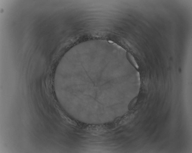 X0000087410817200705181355