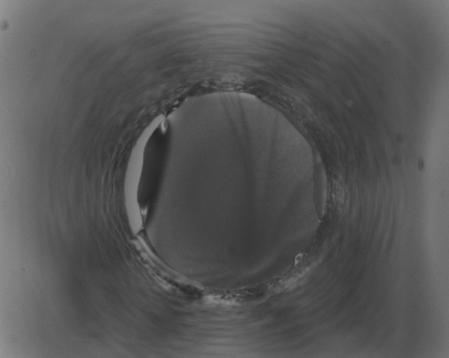 X0000087410818200705181355