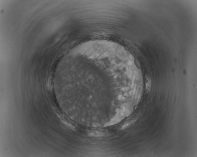 X0000087410819200705181355