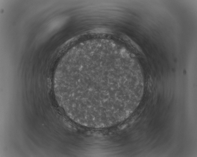 X0000087410821200705181355