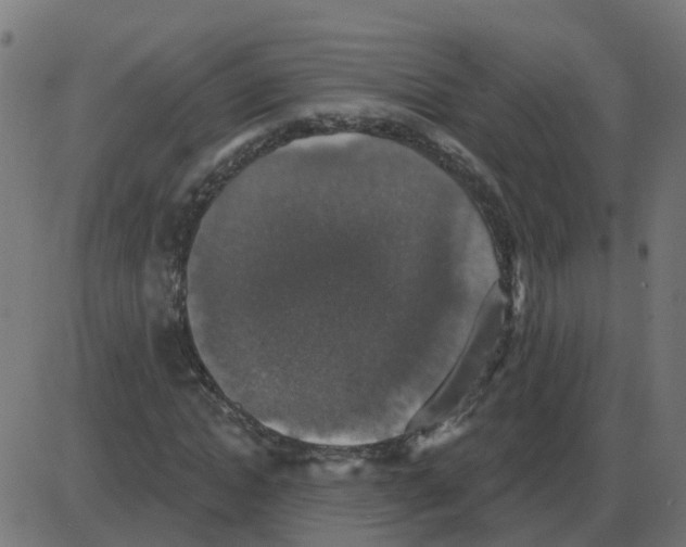 X0000087410822200705181355