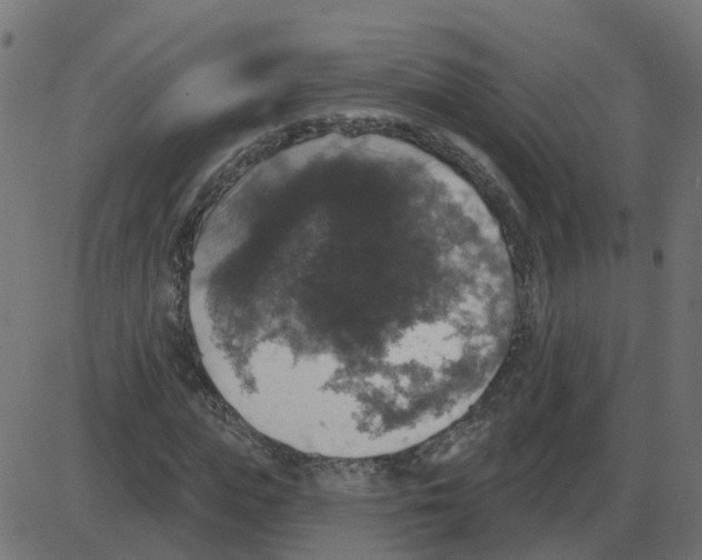 X0000087410823200705181355