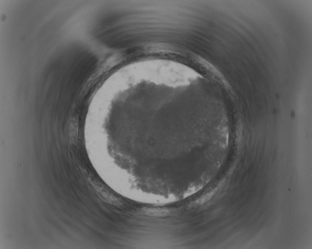 X0000087410825200705181355