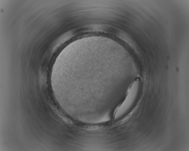 X0000087410826200705181355