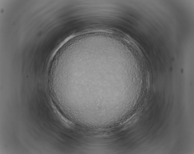 X0000087410828200705181355