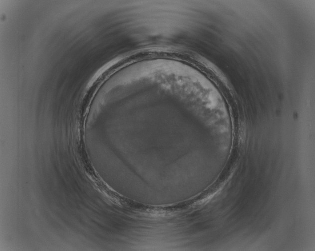 X0000087410829200705181355