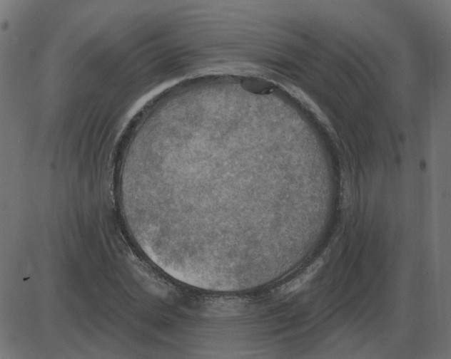 X0000087410830200705181355