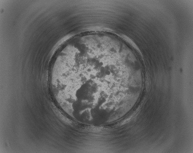 X0000087410831200705181355