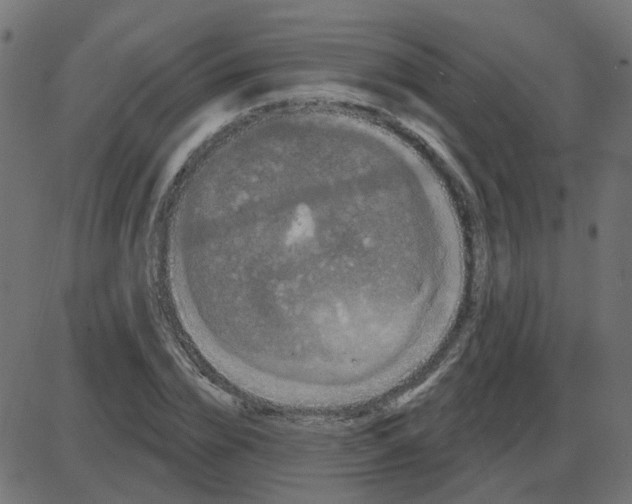 X0000087410832200705181355