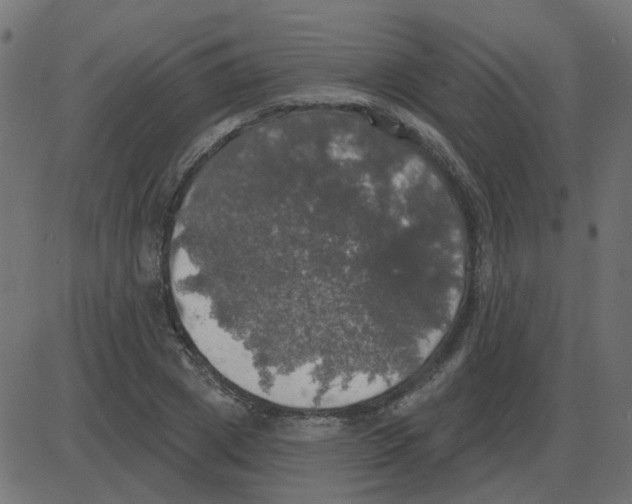 X0000087410833200705181355