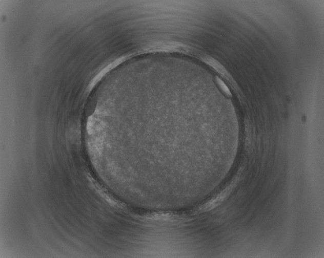 X0000087410834200705181355