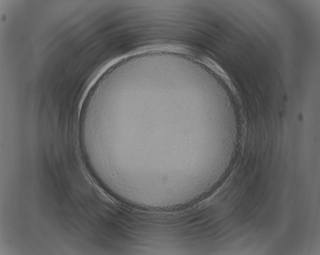 X0000087410836200705181355