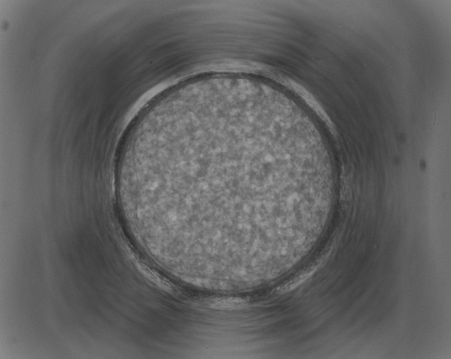 X0000087410837200705181355