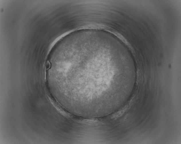 X0000087410838200705181355