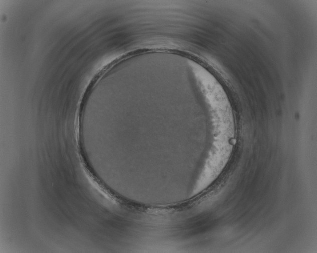 X0000087410840200705181355