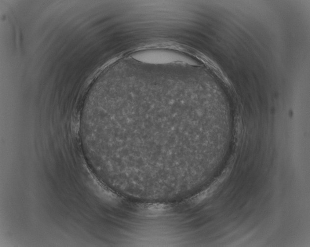 X0000087410841200705181355