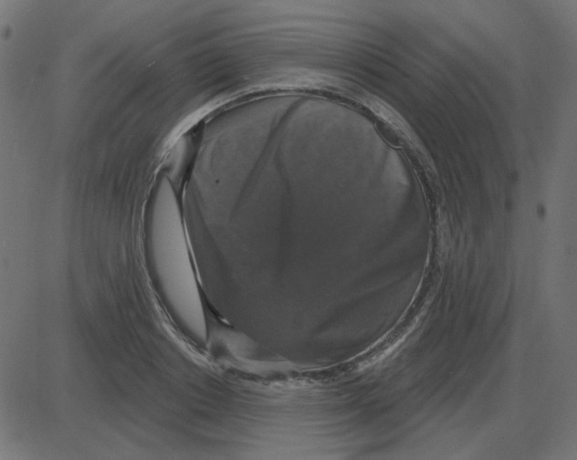 X0000087410842200705181355