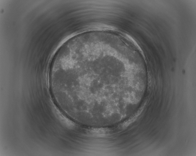 X0000087410843200705181355