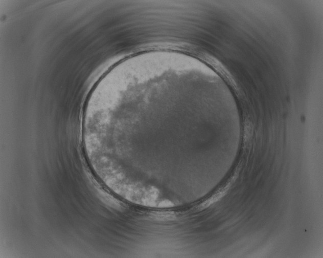 X0000087410844200705181355