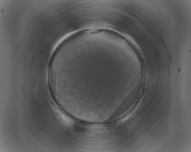 X0000087410846200705181355