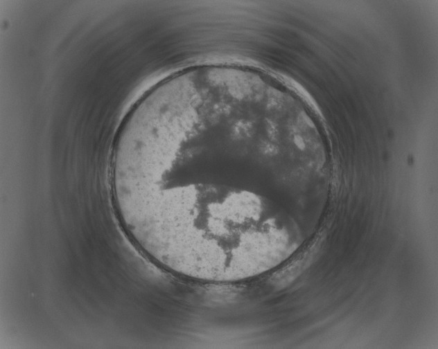 X0000087410847200705181355