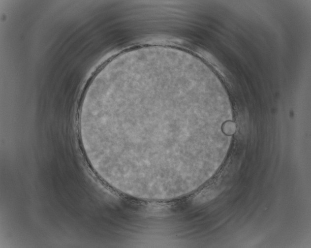 X0000087410848200705181355