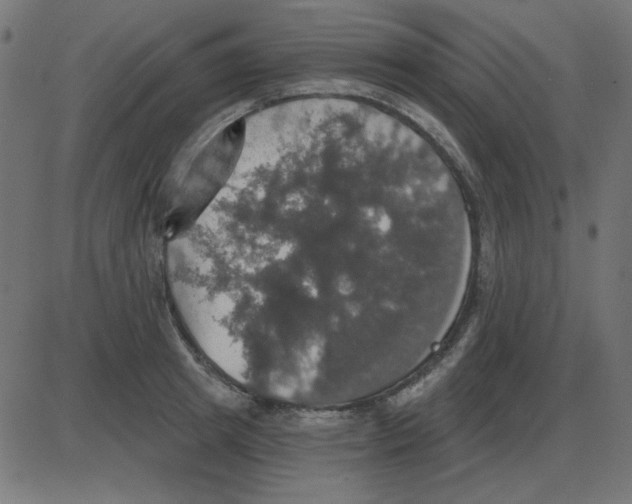 X0000087410849200705181355