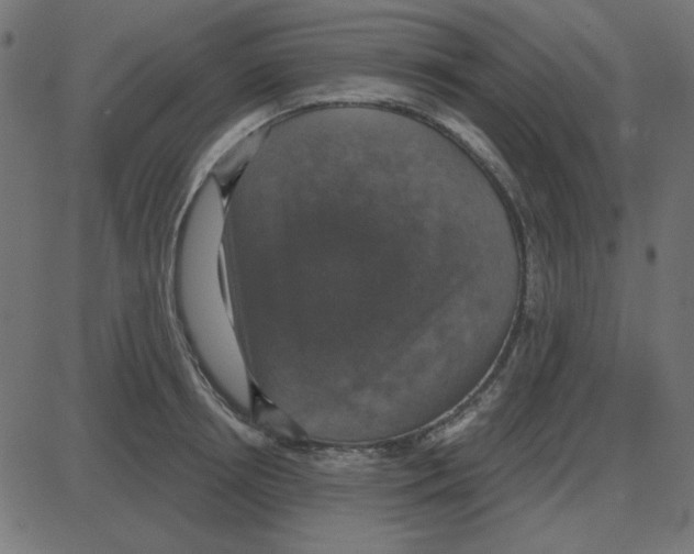 X0000087410850200705181355