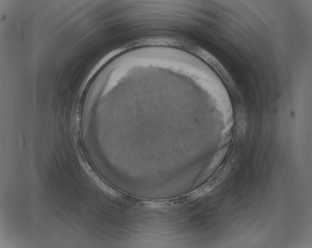 X0000087410852200705181356