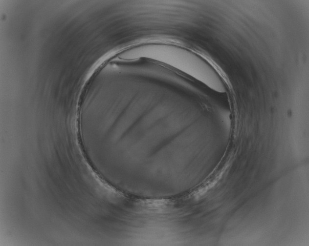 X0000087410853200705181356