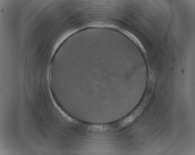 X0000087410855200705181356