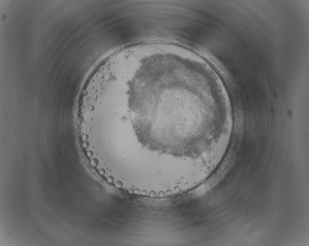 X0000087410856200705181356