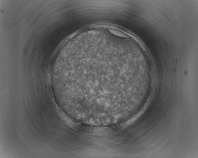 X0000087410857200705181356