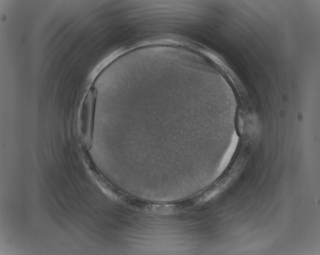 X0000087410858200705181356