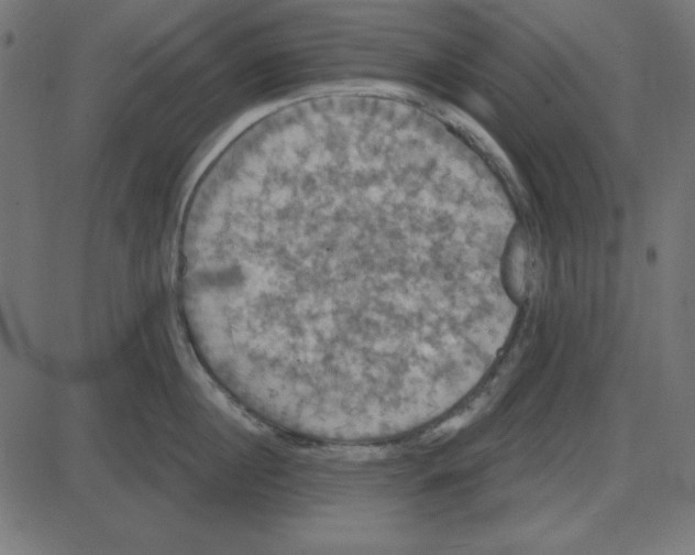 X0000087410860200705181356