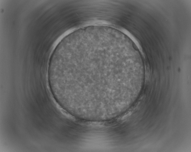 X0000087410861200705181356