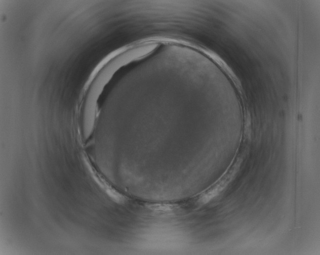 X0000087410862200705181356