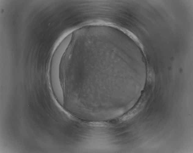 X0000087410863200705181356