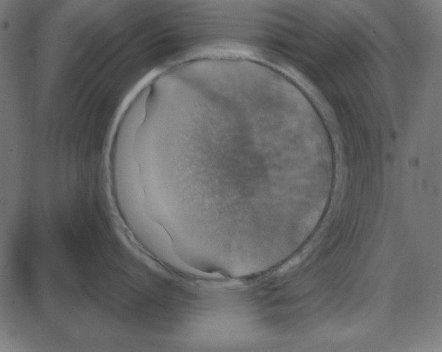 X0000087410864200705181356