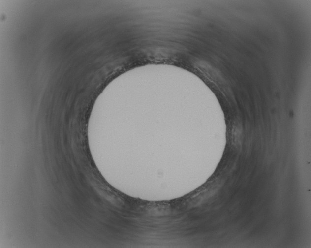 X0000087410865200705181355