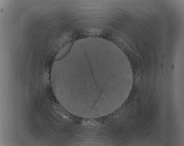 X0000087410866200705181355