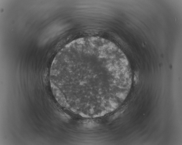 X0000087410867200705181355