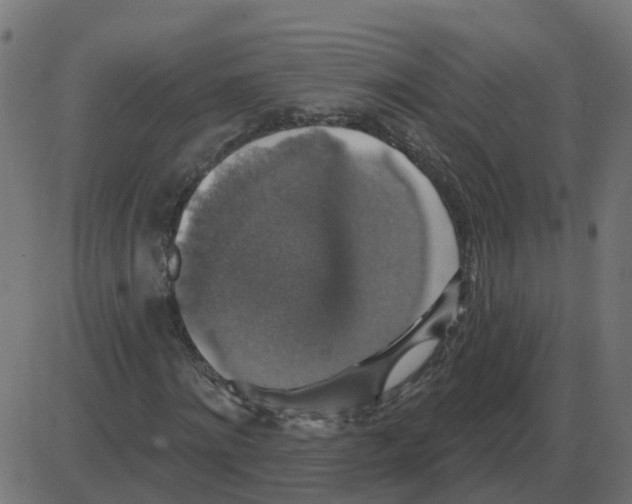 X0000087410868200705181355